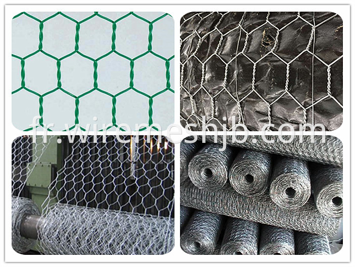 Hexagonal Wire Netting